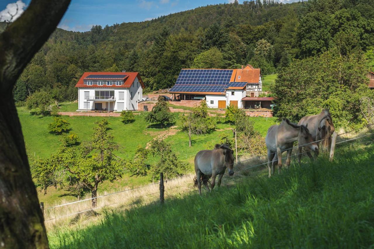 Gruenewaldhof In Rimbach Im Odenwald Apartman Kültér fotó